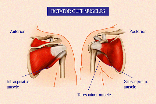 Shoulder pain treatment in physiotherapy clinic in Nicosia