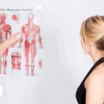 Therapist showing chart of human body